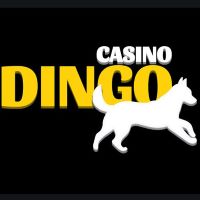 Dingo Casino Test